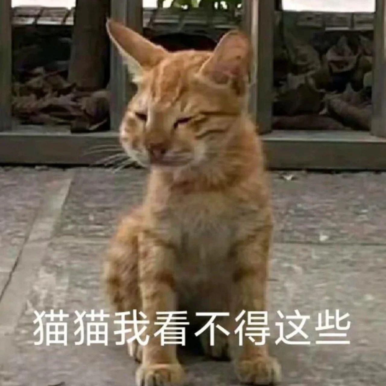 还没取名但神二说像在蟠桃园泡妞