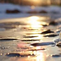 Melting Snow in The Morning