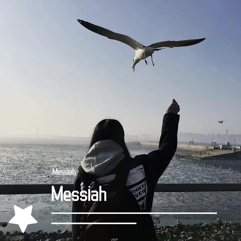 遗憾是常有的_阿海_Messiah | 在线播放_遗憾是常有的歌词_遗憾是常有的下载 | 网易云音乐