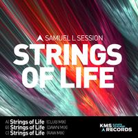 Strings Of Life 2015