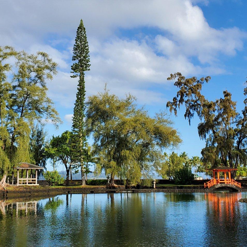 Top 50 Hawaiian Songs 史上最佳夏威夷歌曲