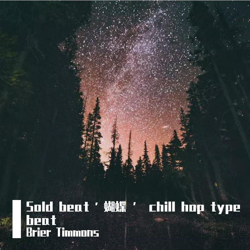 Sold beat ' 蝴蝶 ’ chill hop type beat