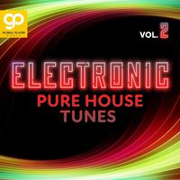 Electronic Pure House Tunes, Vol. 2