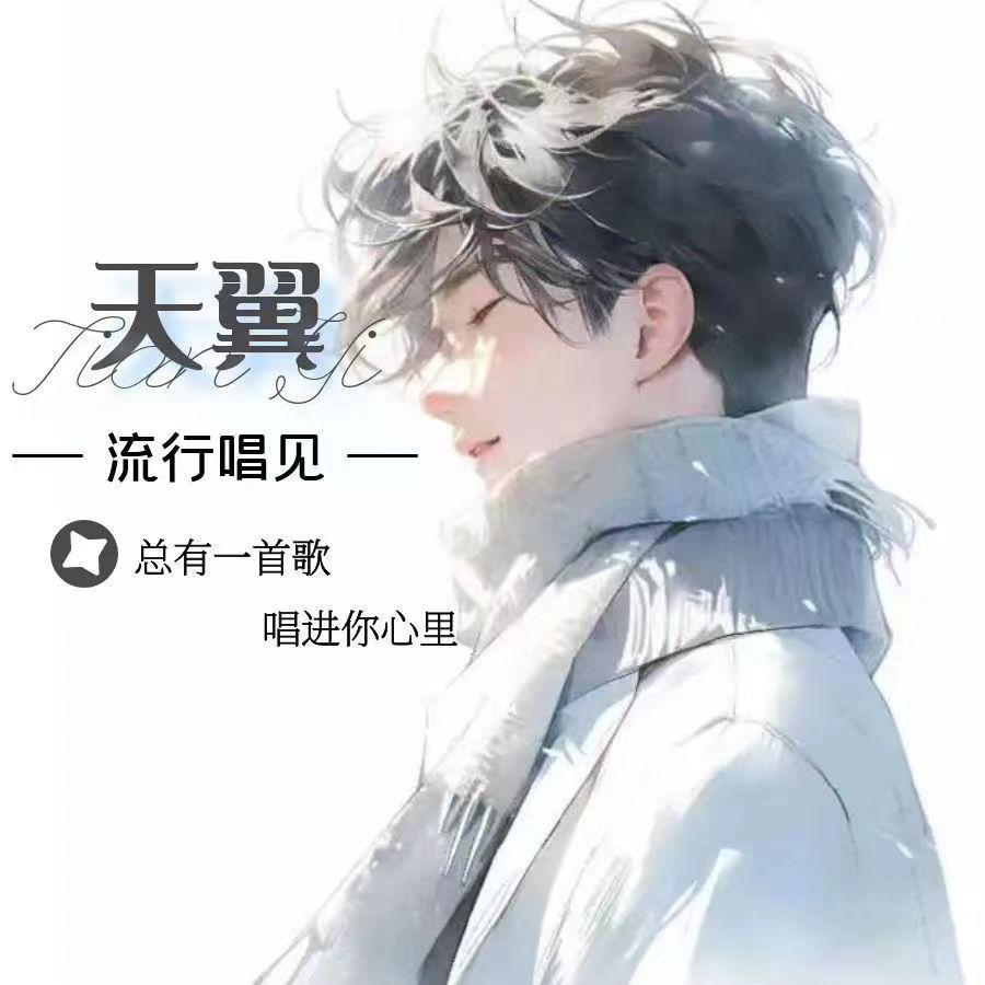 灿烂的你封面