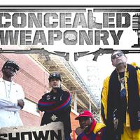 Concealed Weaponry