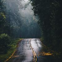 Pro Sounds of Nature - Find Yourself