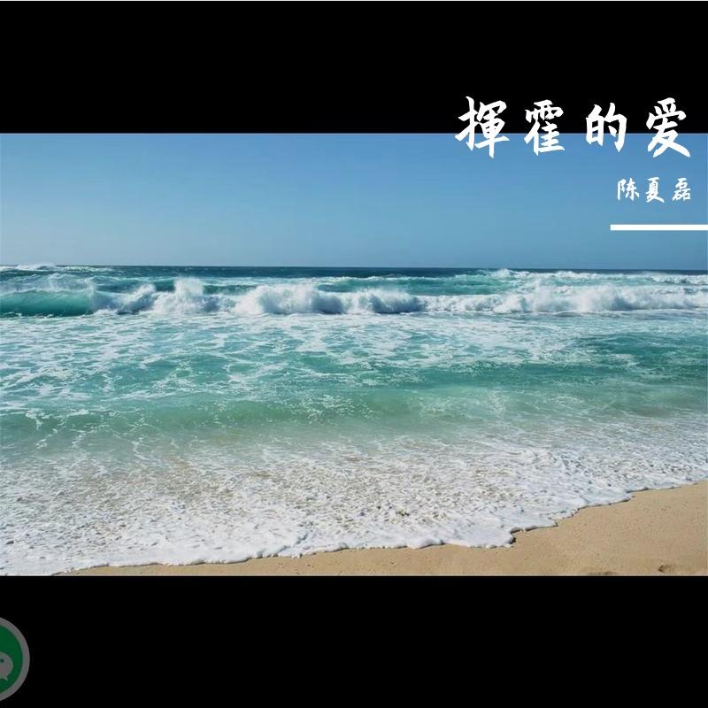 踏浪 伴奏封面
