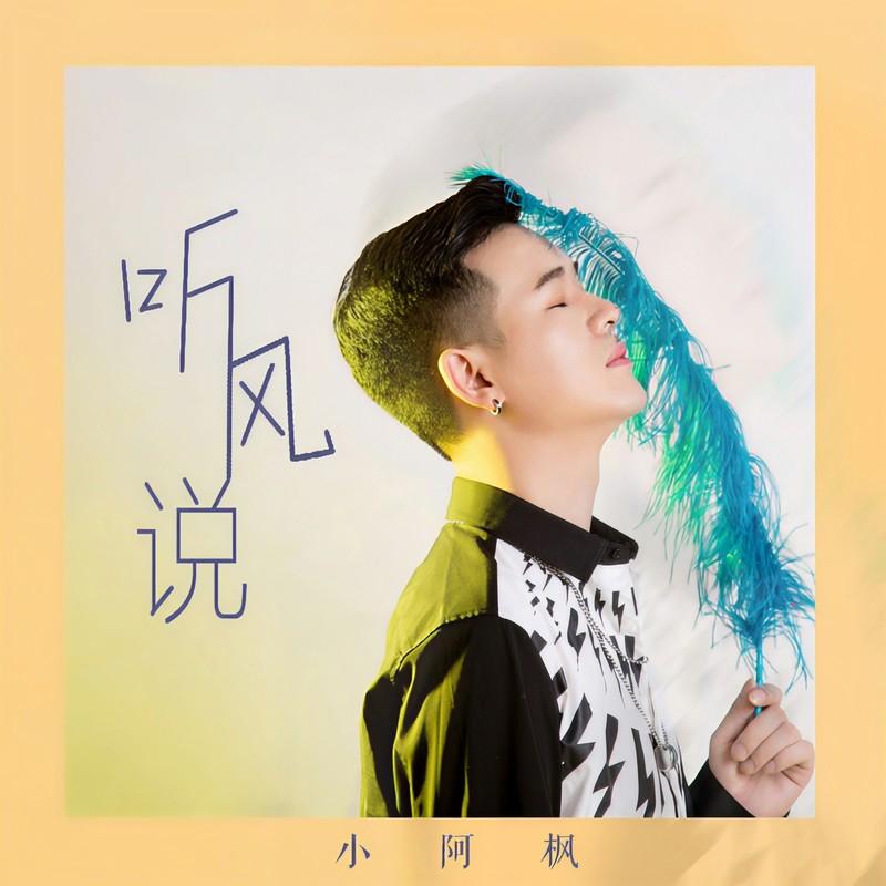 听风说(DJ版)封面