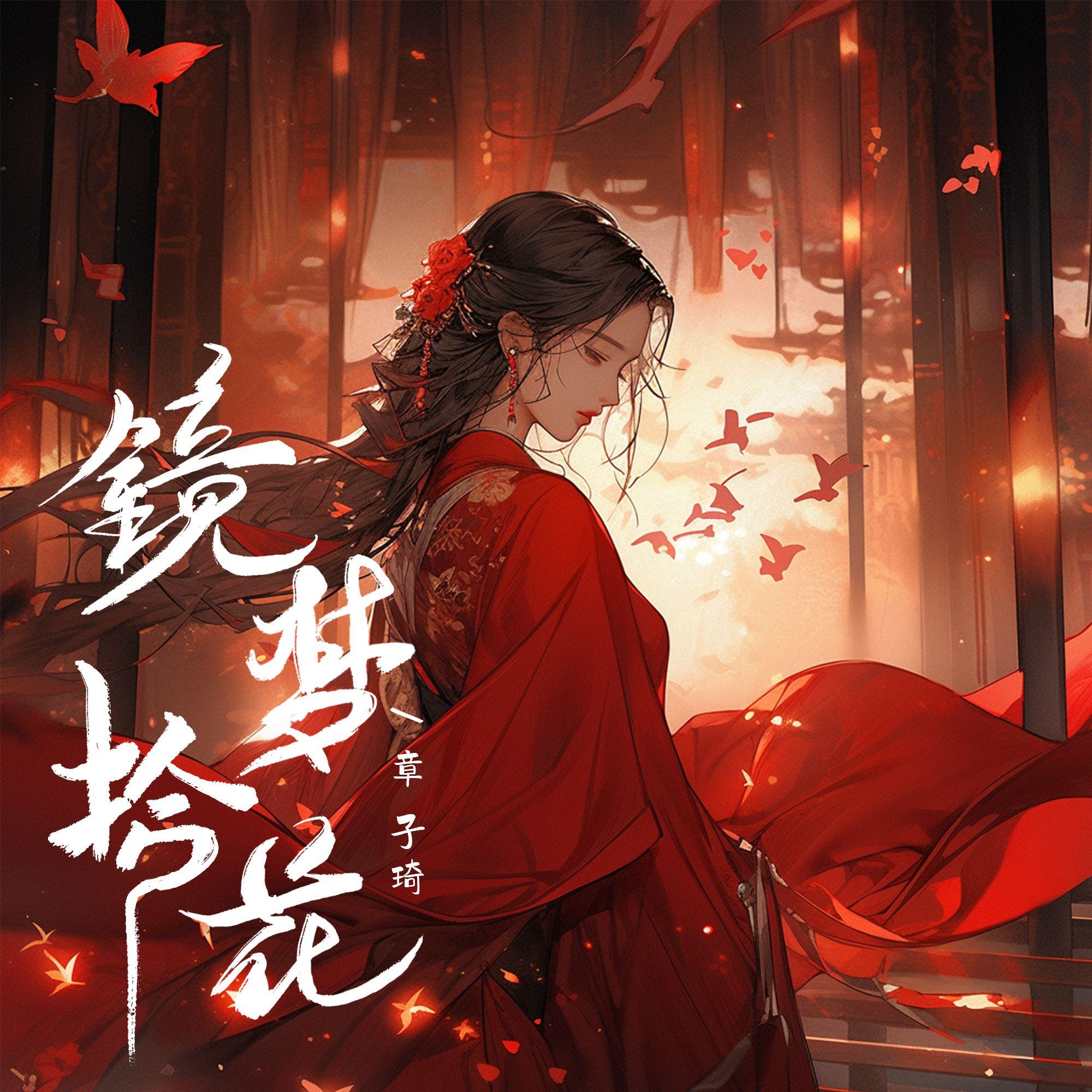 镜梦拾花封面