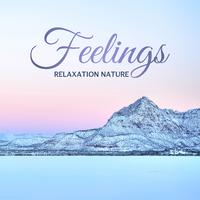 Relaxation Nature Feelings: 2019 Nature Music with Instrumental Melodies for Relax, Rest and Calm Nerves, Beautiful Sounds of Water, Birds and Other