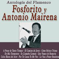 Antología del Flamenco: Fosforito y Antonio Mairena