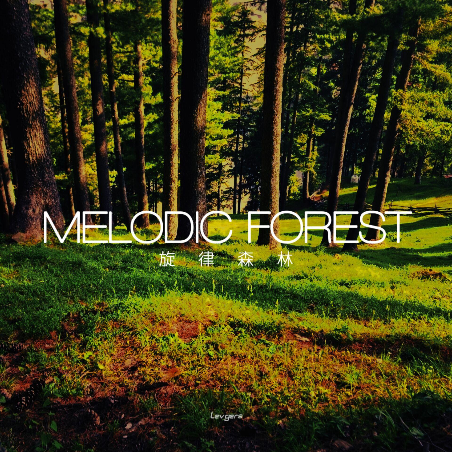 Melodic Forest