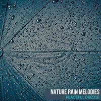 Nature Rain Melodies - Peaceful Drizzle