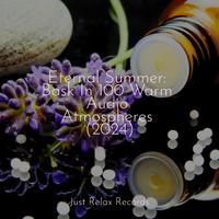 Eternal Summer: Bask In 100 Warm Audio Atmospheres (2024)