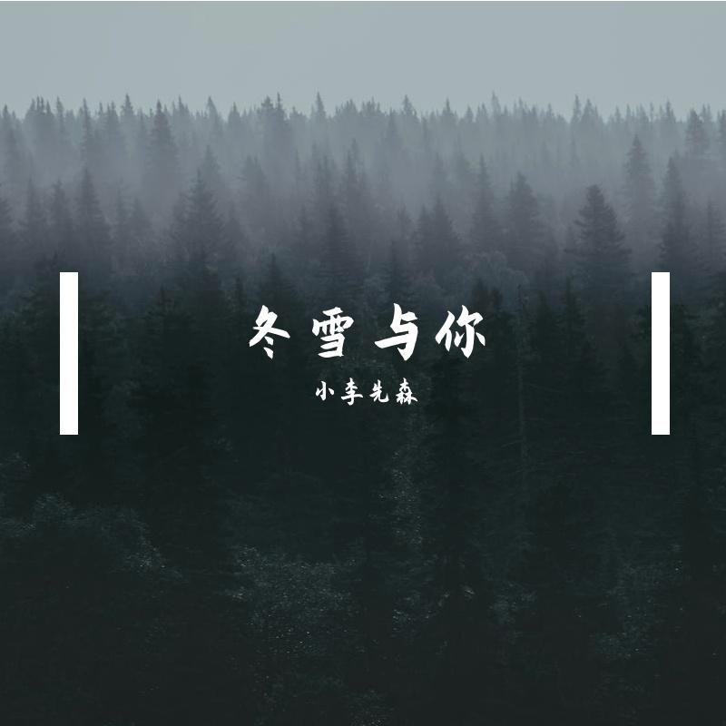 冬雪与你封面