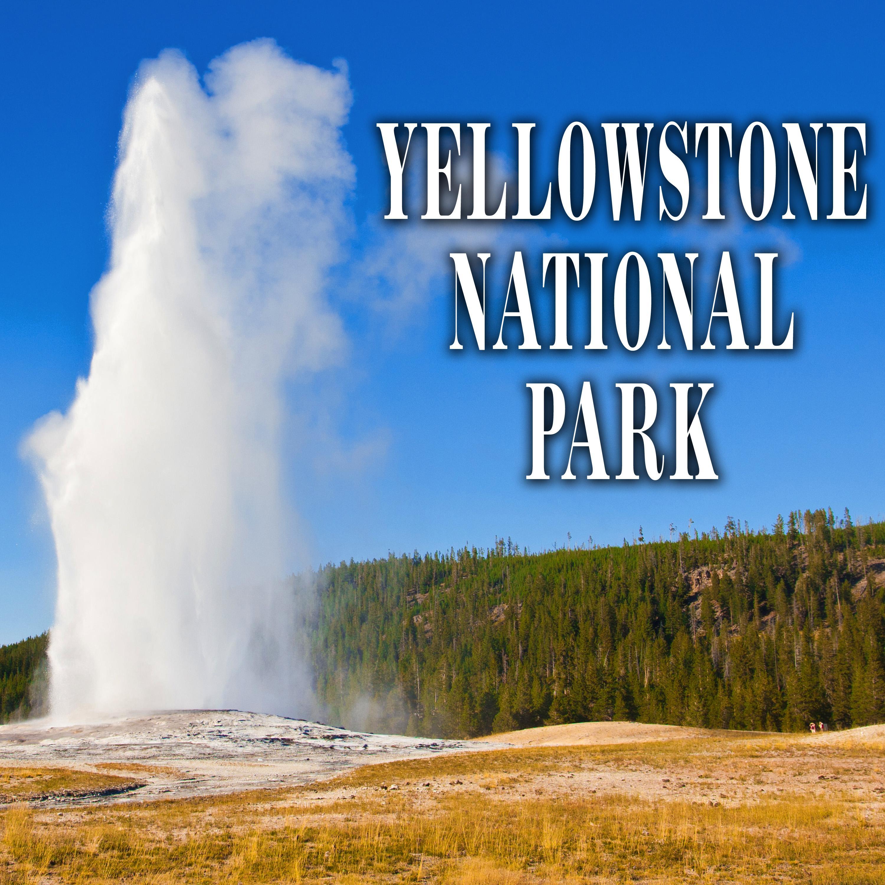 ### Must See Attractions in Yellowstone: A Comprehensive Guide to the Park's Most Iconic Sights