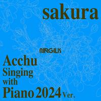 sakura (Acchu Singing with Piano 2024)