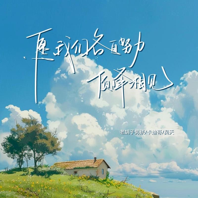 愿我们各自努力顶峰相见封面