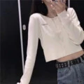 海底旋律 (DJ版)封面
