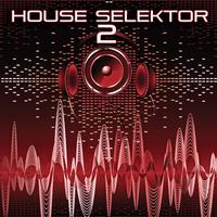 House Selektor, Vol. 2