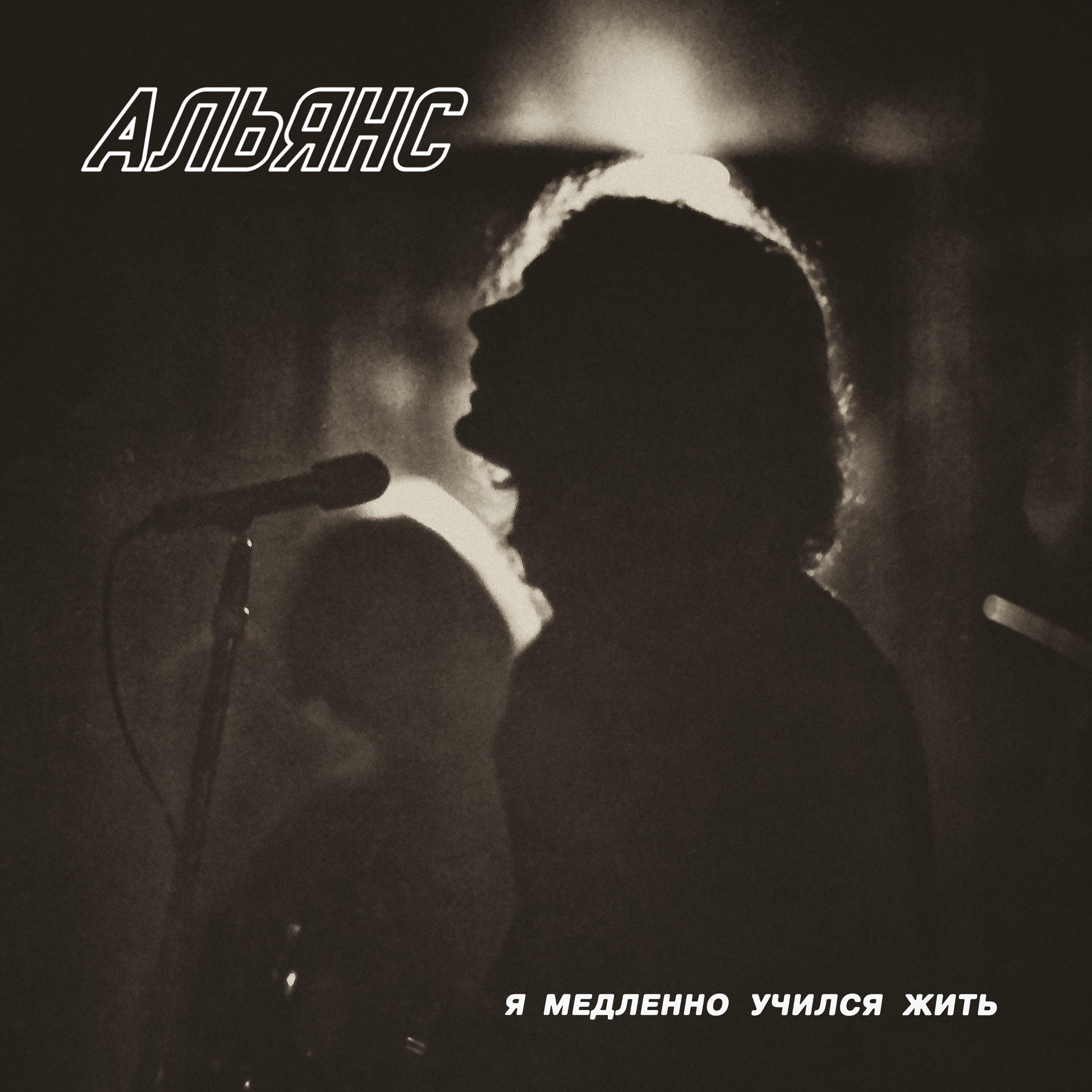 Мы - пешеходы