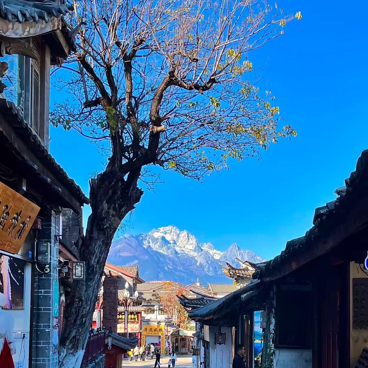 一起吹过晚风的人大概会记得很久