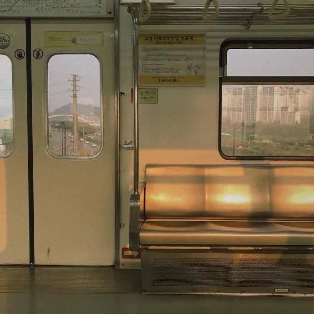 废墟里的玫瑰照样浪漫