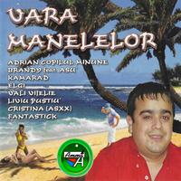 Vara Manelelor 2003