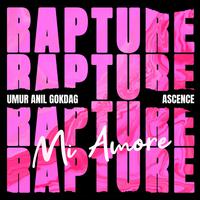 Rapture (Mi Amore)