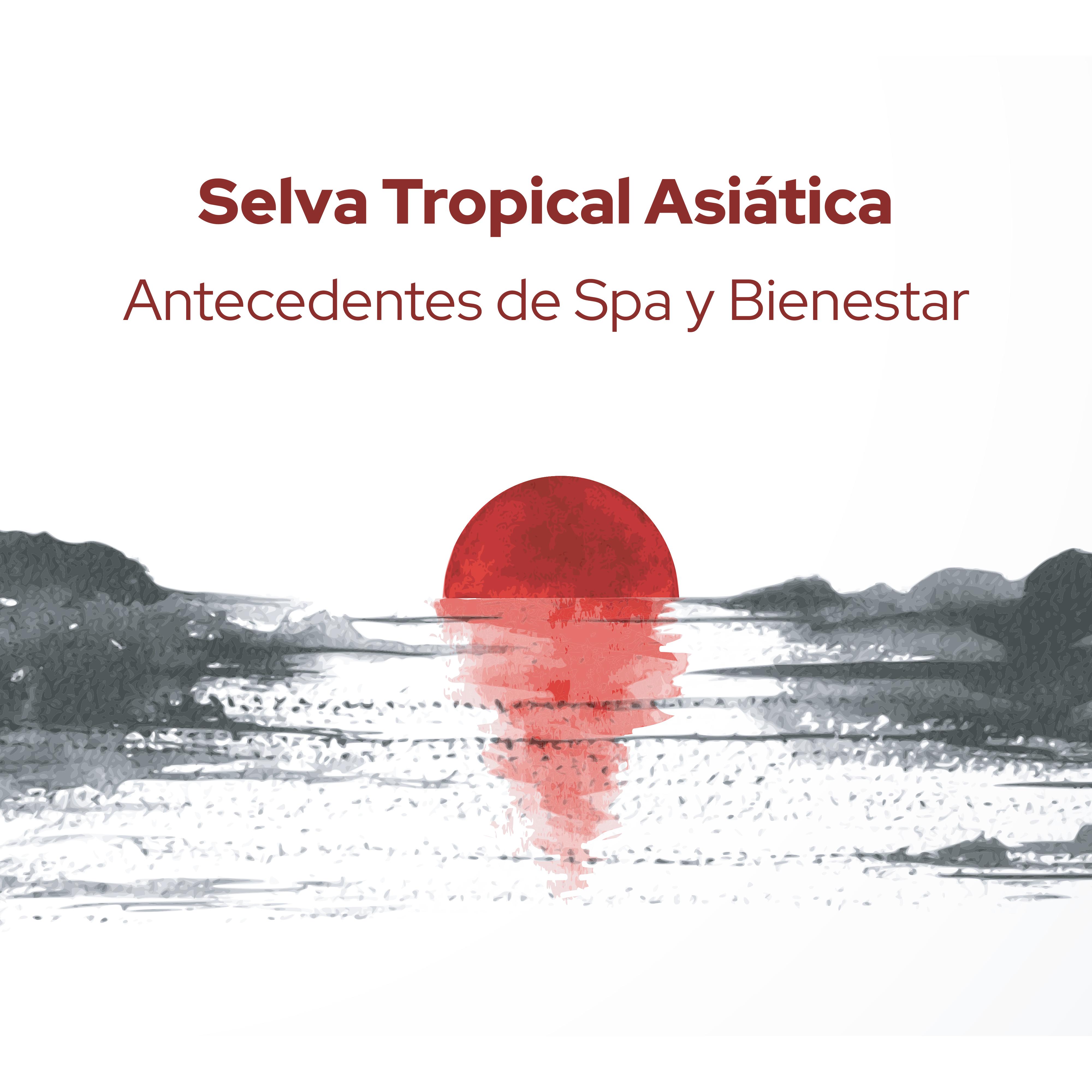 Canciones Relajantes