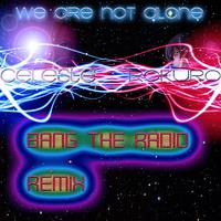 We Are Not Alone (Bang the Radio Remix)