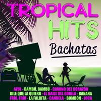 Tropical Hits-Latinas