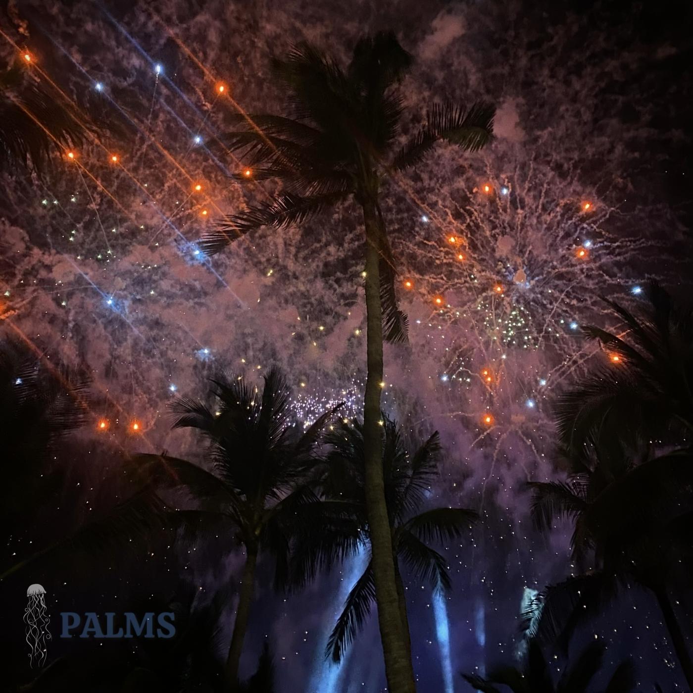 Palms (Extended Mix)