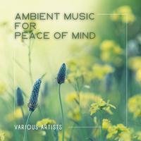 Ambient Music for Peace of Mind