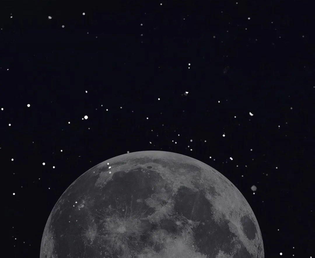 林鹤清