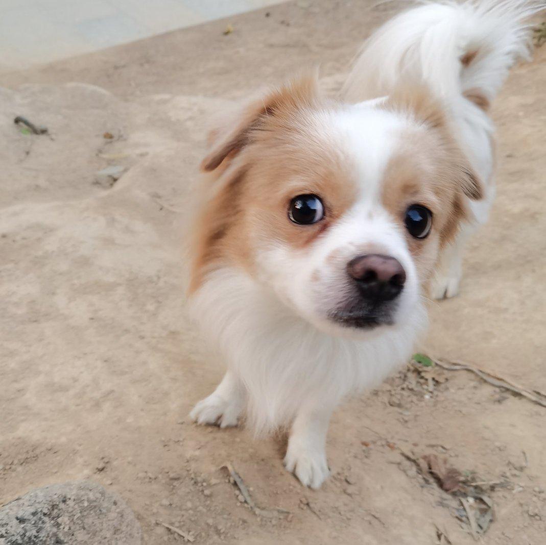 而时间永不入睡