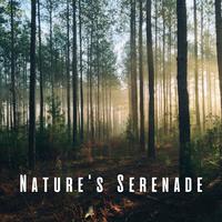 Nature's Serenade: Himalayan Bowl and Insect Sounds for Relaxation