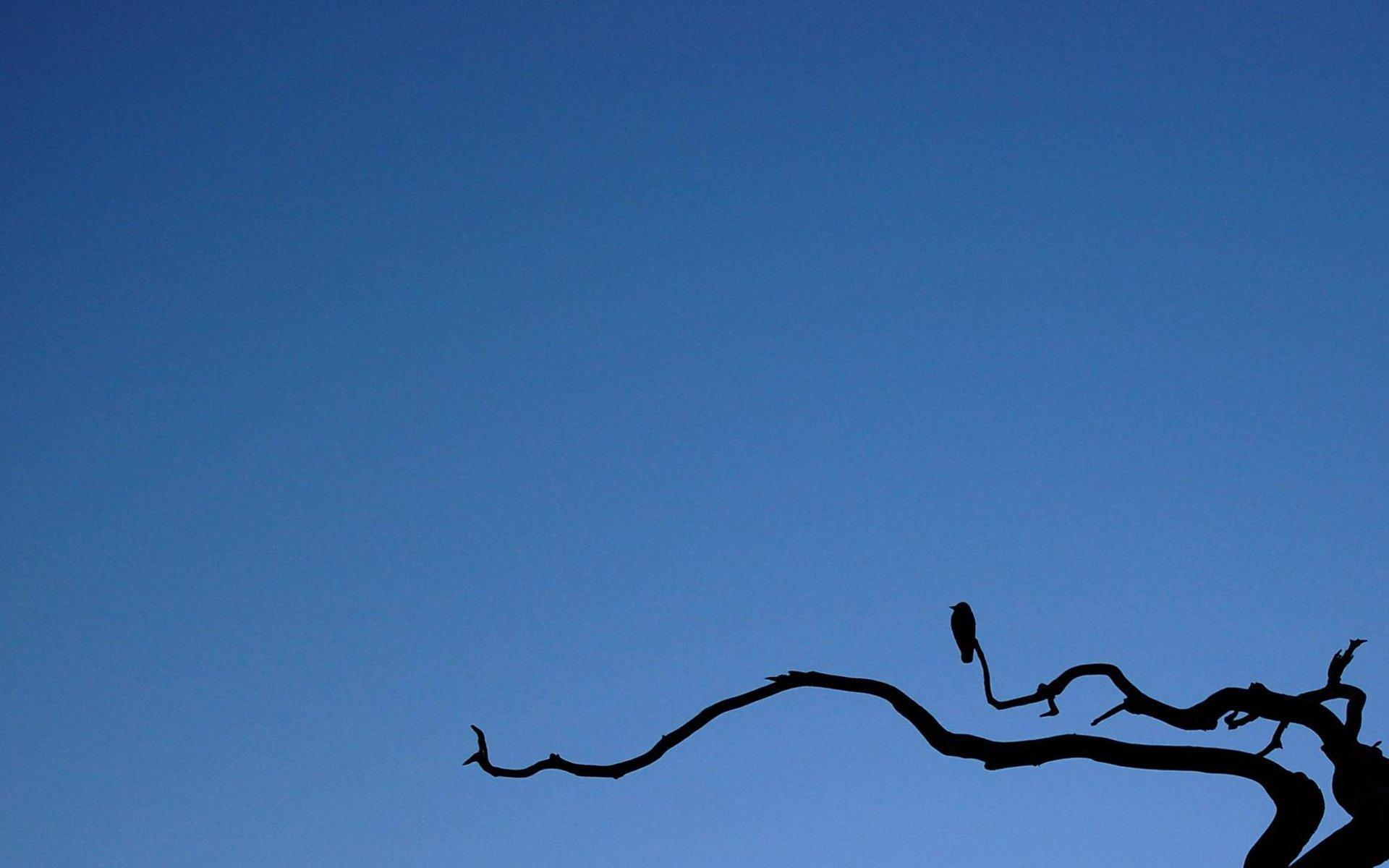 包小姐_良梓_包小姐 | 在线播放_包小姐歌词_包小姐下载 | 网易云音乐