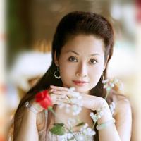 刘春红