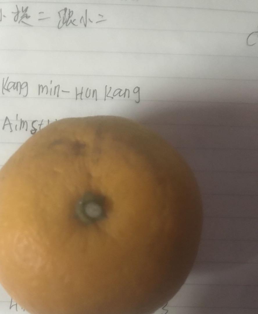 为你写的歌封面