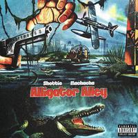 Alligator Alley