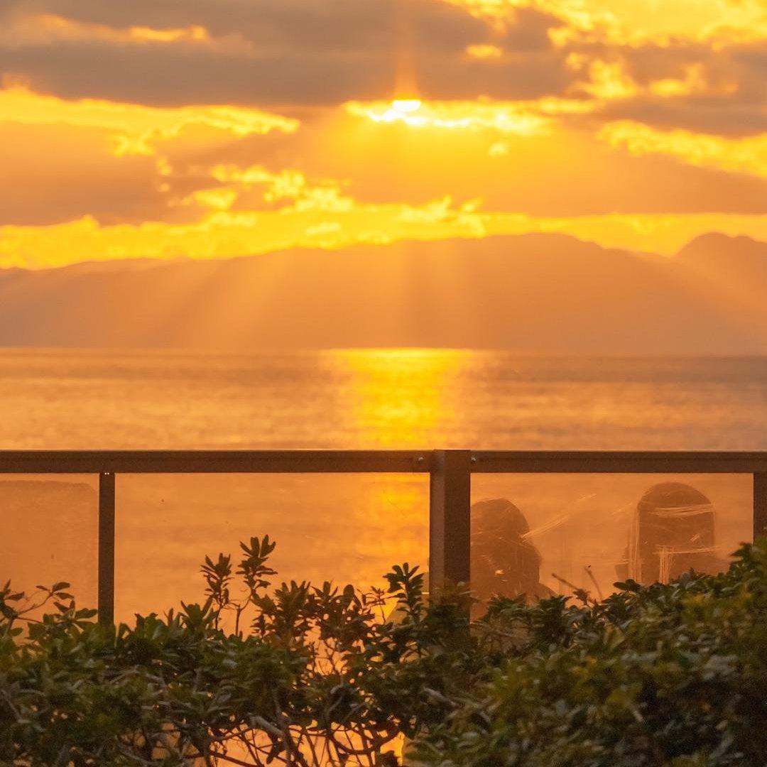 是温柔的向往，也是孤独的依靠