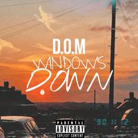 Windows Down