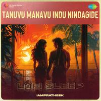 Tanuvu Manavu Indu Nindagide - Lofi Sleep