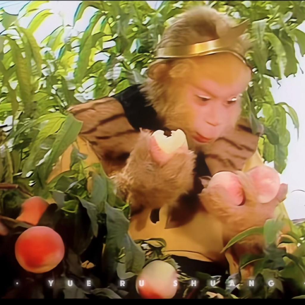 智者不入爱河_CRYSTAL