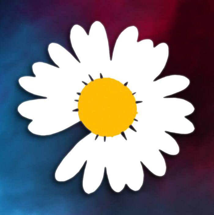 Ray -C * Music without borders