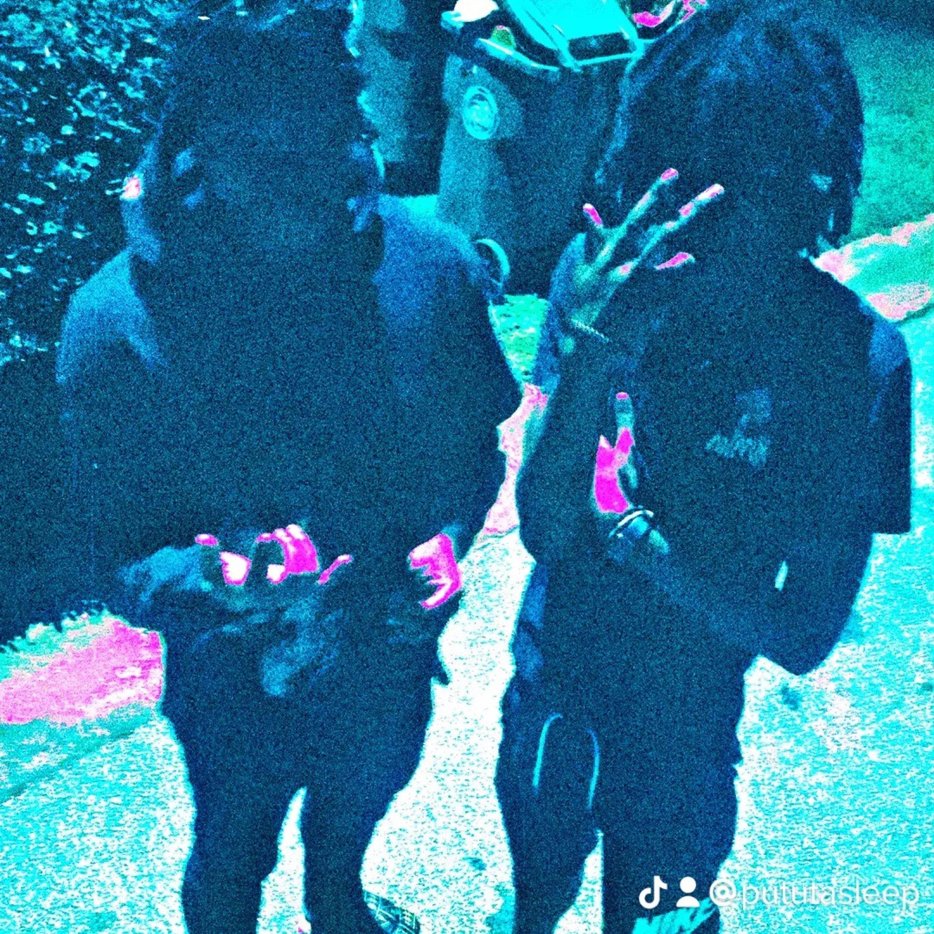 Player fr (feat. Prod.ghost)