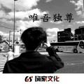 人在江湖身不由己封面