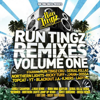 Run Tingz Remixes Vol 1 WEB