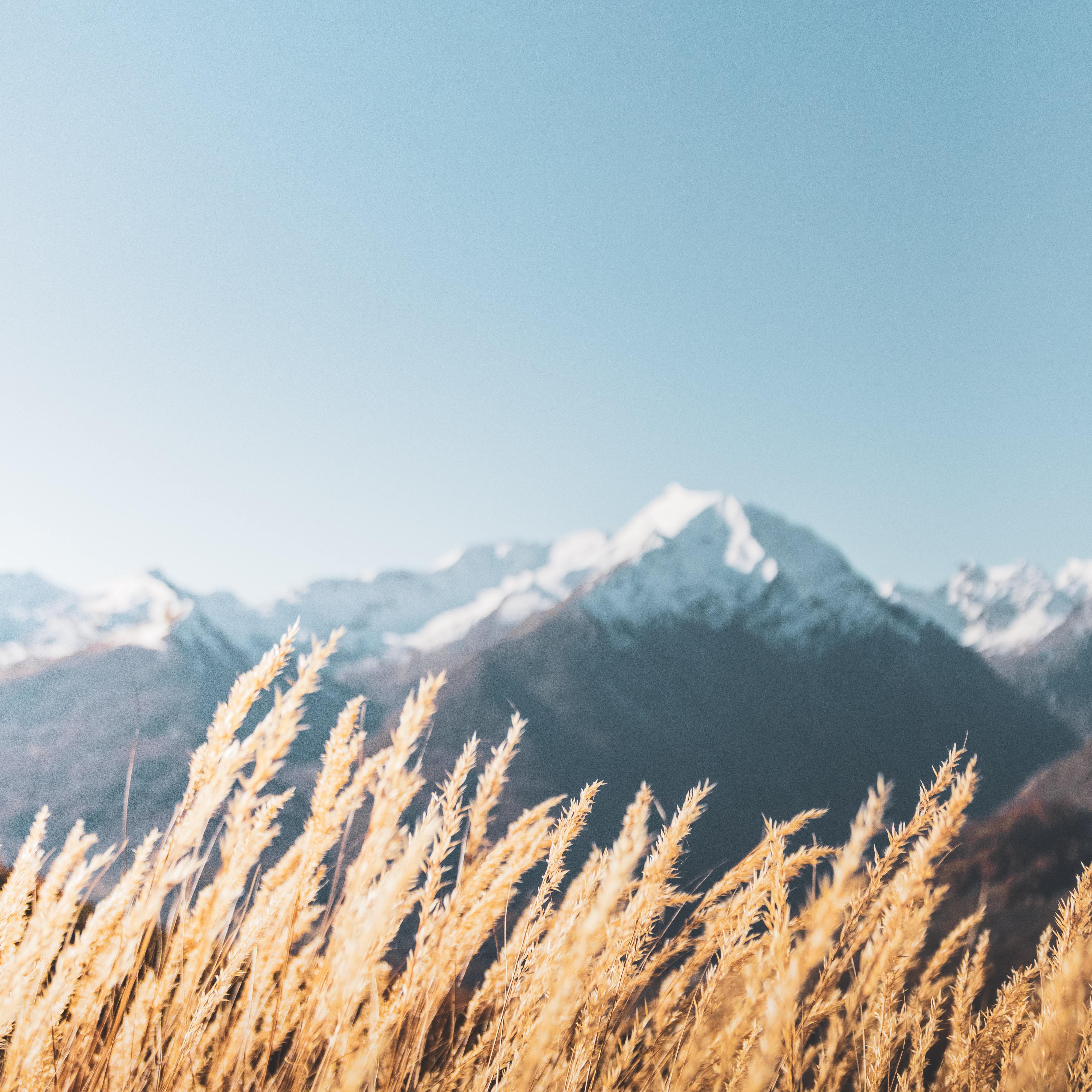 是否爱你与你无关